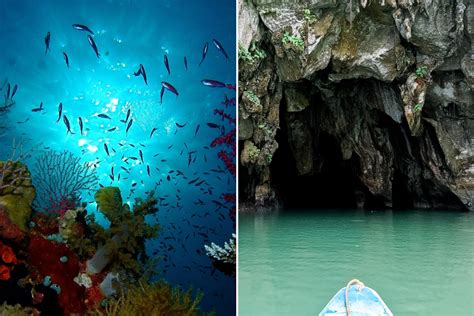 puerto princesa to cebu|things to do in palawan.
